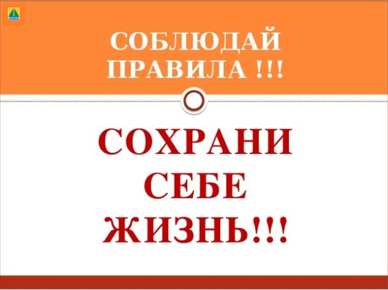 Росгвардия напоминает владельцам оружия о соблюдении правил во время охоты.