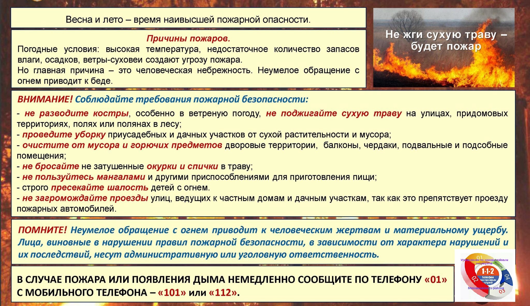 Изображения.